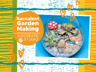 Succulent Garden Making at Twin Lakes Elementary- Elk River